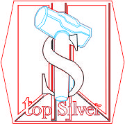 Top Silver Logo